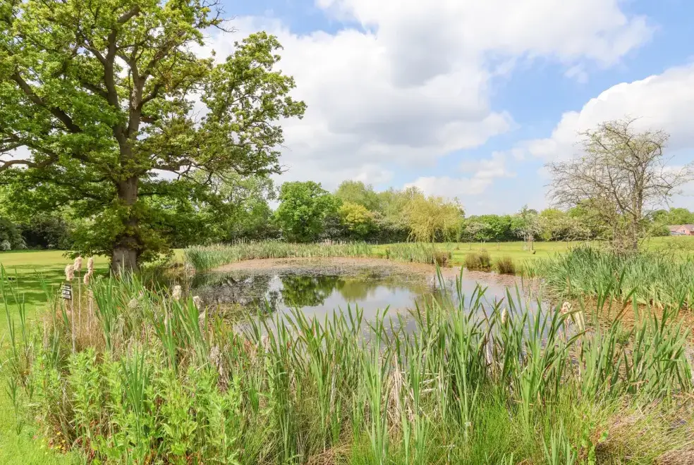 Countryside views at Callow Lodge 22