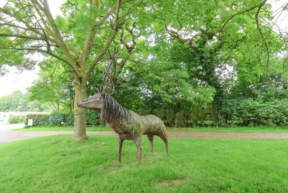 Countryside near Callow Lodge 22