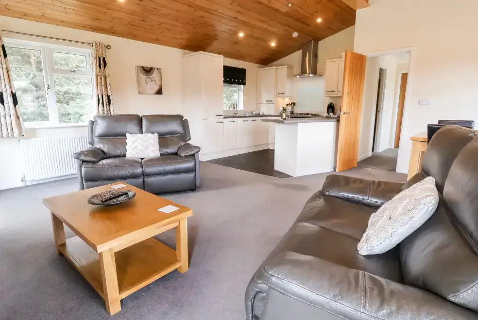 Open plan living area at Callow Timber Lodge 2