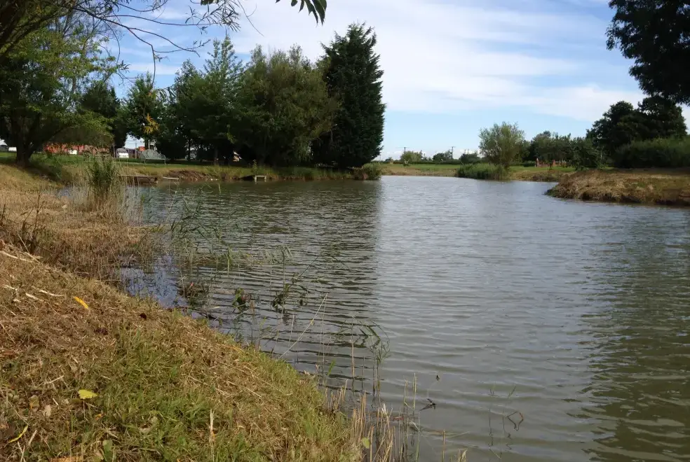 Lake view at Carp Cottage