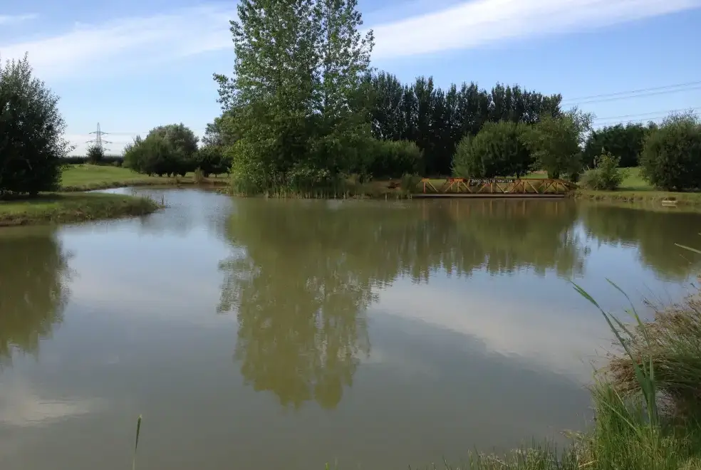 Lake view at Carp Cottage