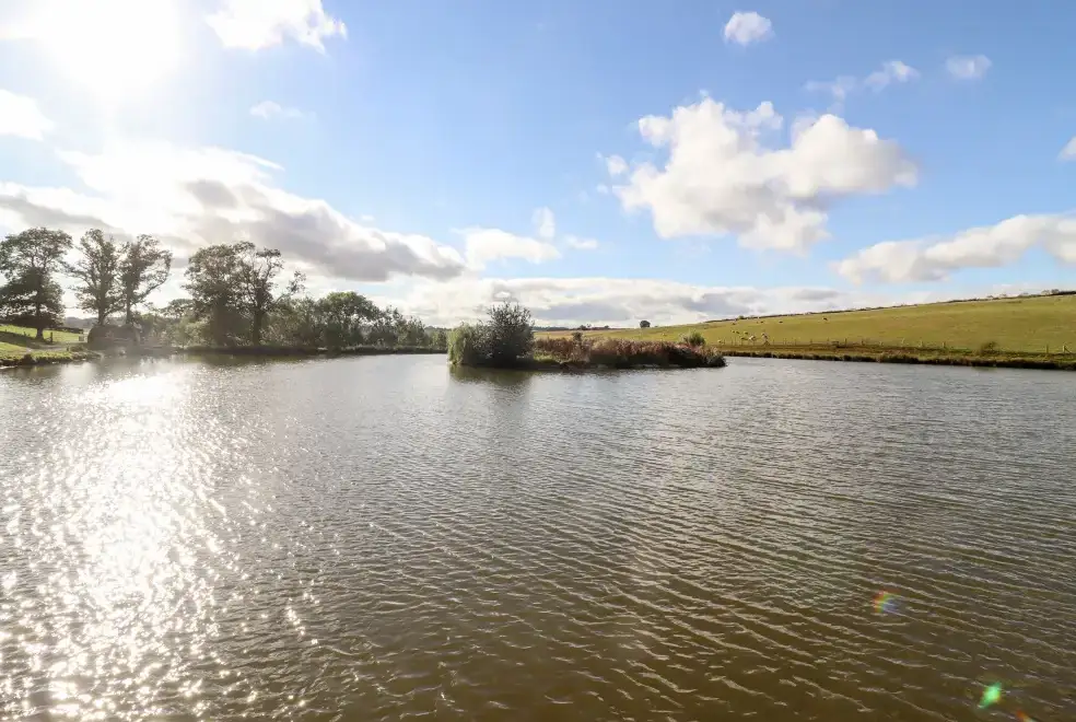 Lake view at Cedar Cabin