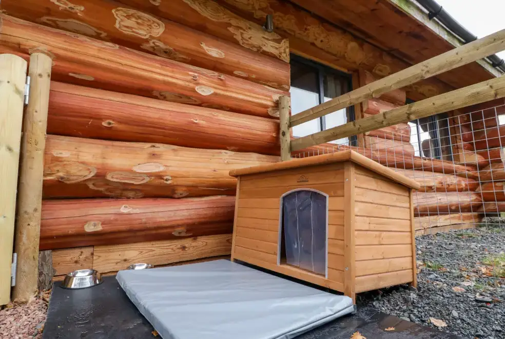 Dogs welcome at Cedar Cabin