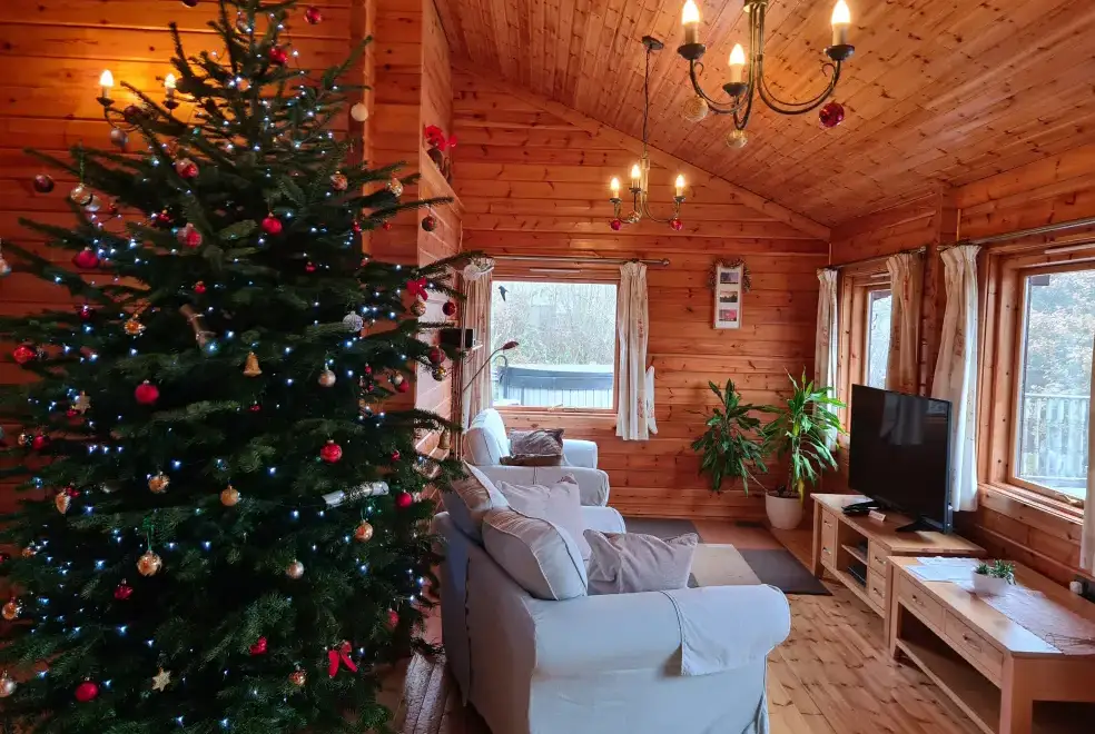 Lounge at Cefn-nant Lodge