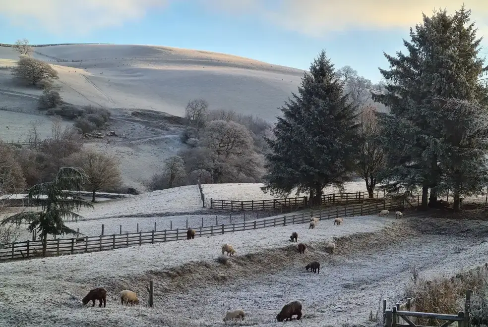 Countryside views at Cefn-nant Lodge
