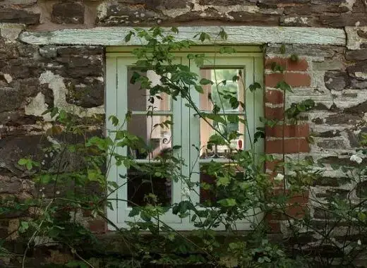 Surrounding area near Cefn Y Waun - Cottage in the Woods