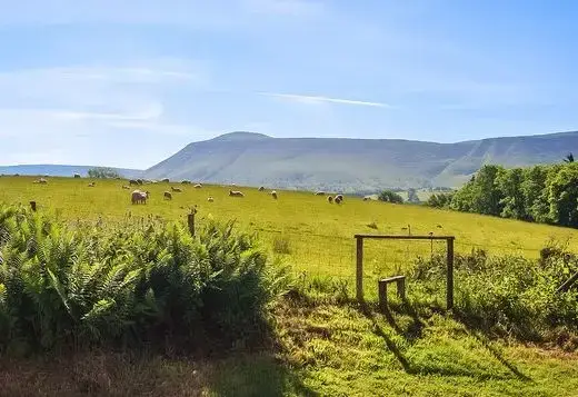 Countryside views at Cefn Y Waun - Cottage in the Woods