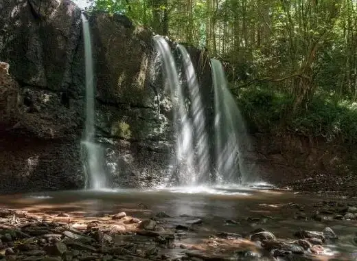 Countryside near Cefn Y Waun - Cottage in the Woods