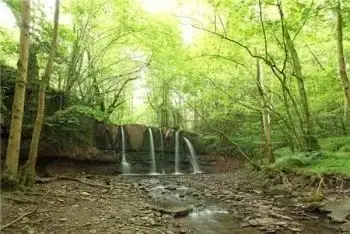 Countryside near Cefn Y Waun - Cottage in the Woods