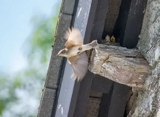 Surrounding area near Cefn Y Waun - Cottage in the Woods