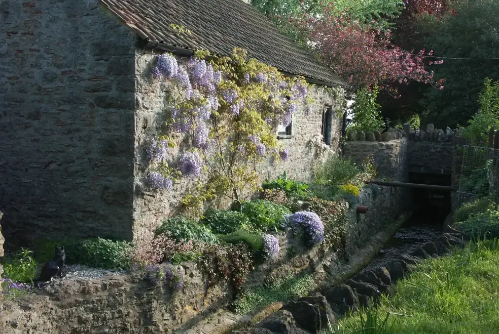 Countryside views at Cider Barrel Cottage