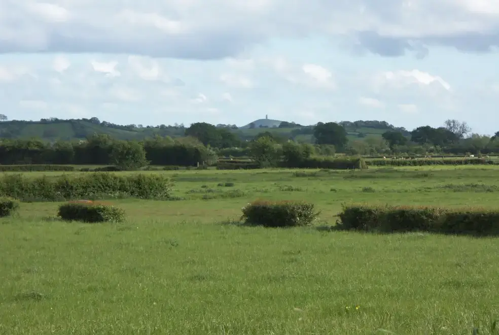 Countryside views at Cider Barrel Cottage