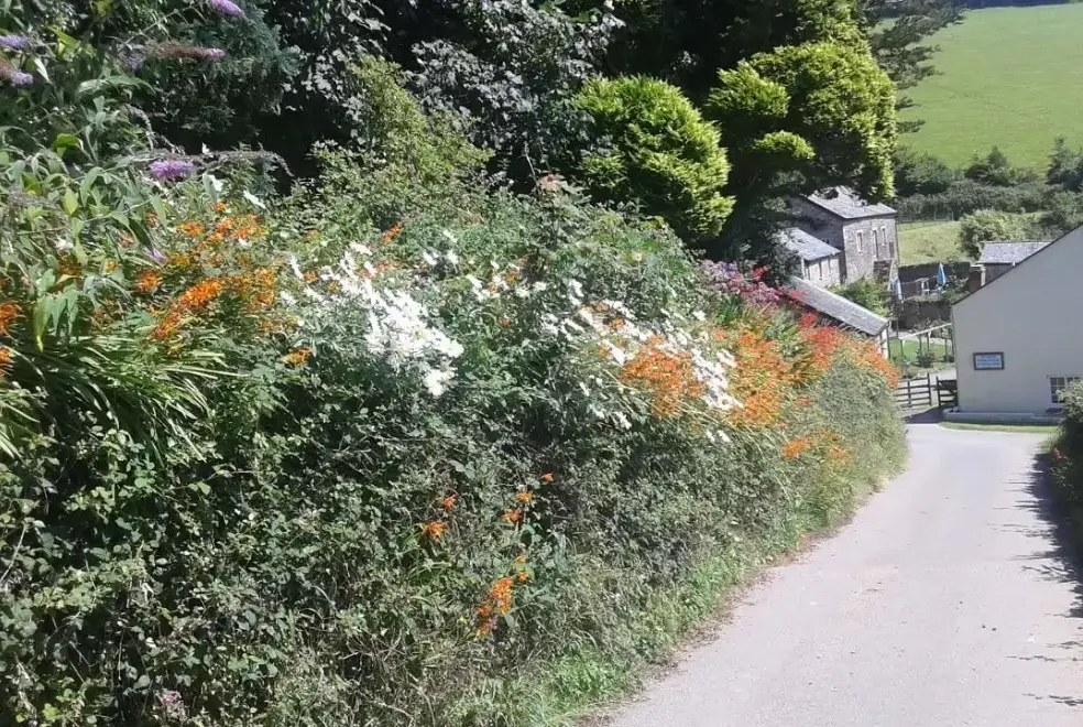 Countryside near Cider House at Nutcombe Cottages