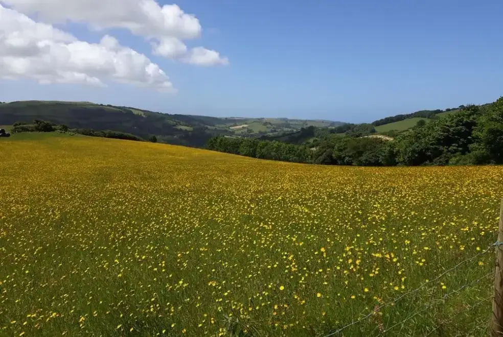 Countryside views at Cider House at Nutcombe Cottages