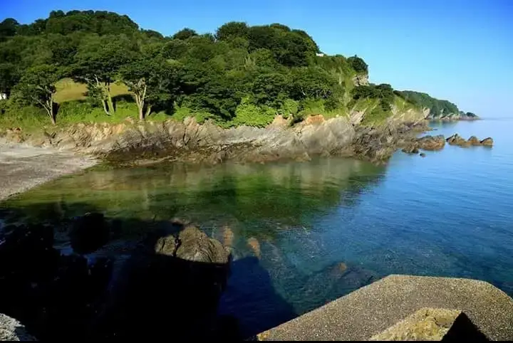 Coastal scenes near Cider House at Nutcombe Cottages