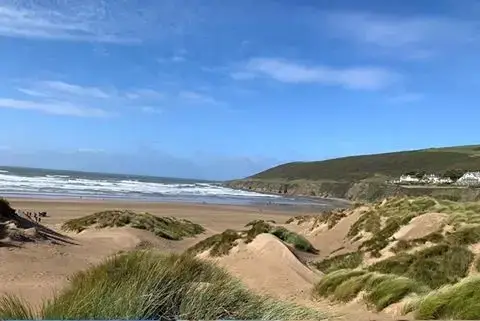 Dogs welcome at Cider House at Nutcombe Cottages