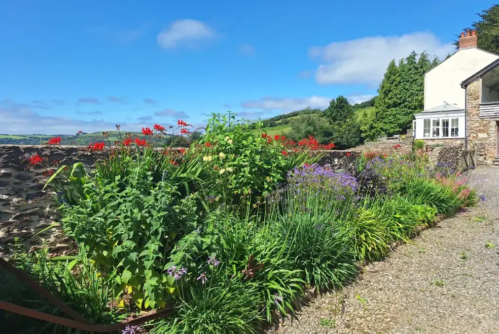 Garden at Cider House at Nutcombe Cottages