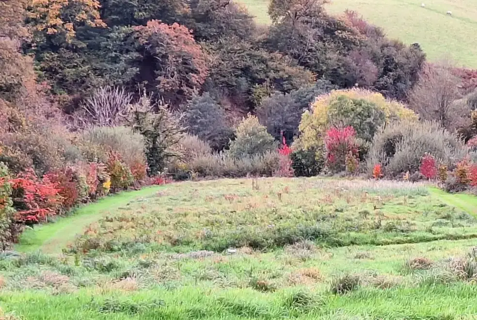  at Cider House at Nutcombe Cottages