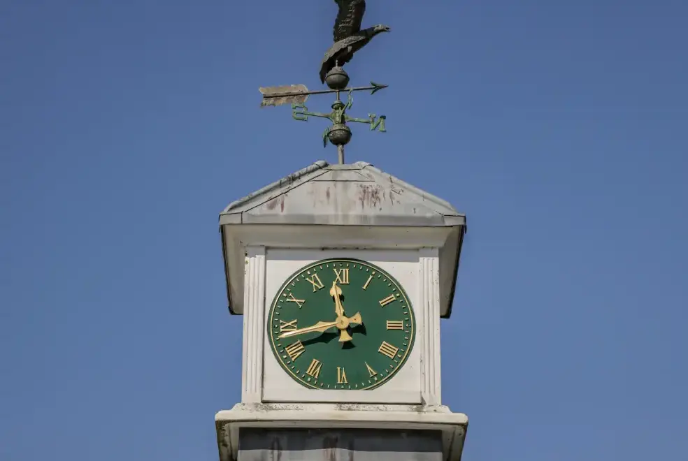 Surrounding area near Clock Tower Cottage