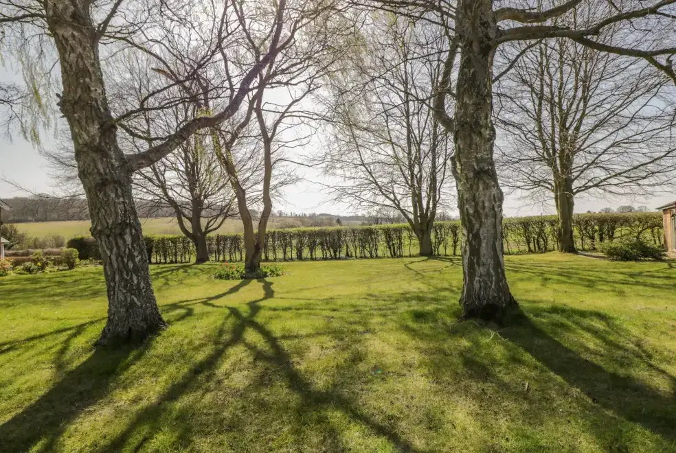 Countryside views at Clock Tower Cottage