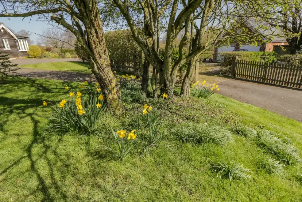 Garden at Clock Tower Cottage