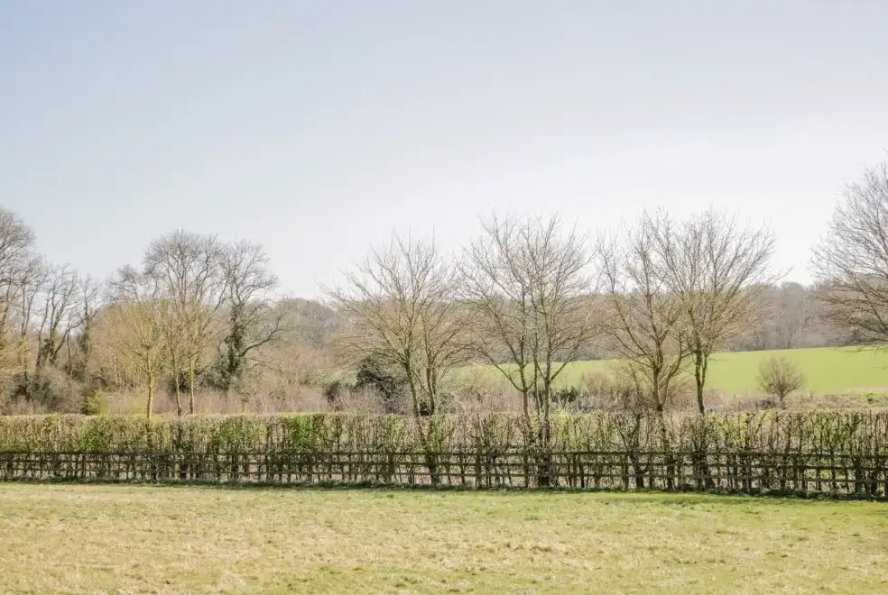 Countryside views at Clock Tower Cottage