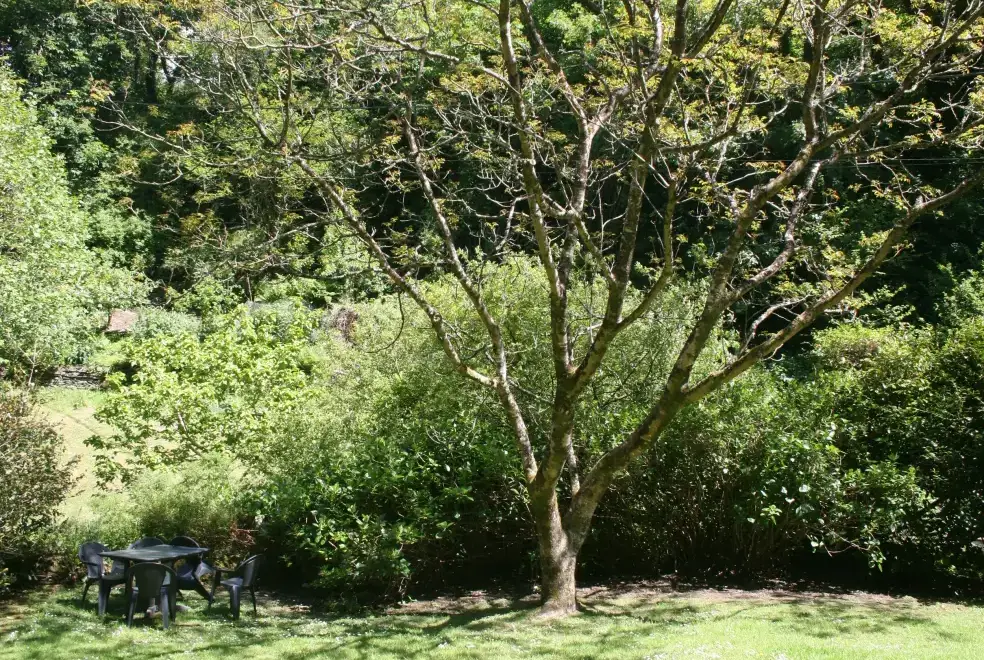 Garden at Coachman's