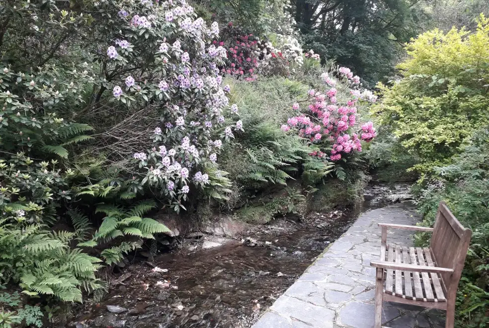 Countryside near Coachman's