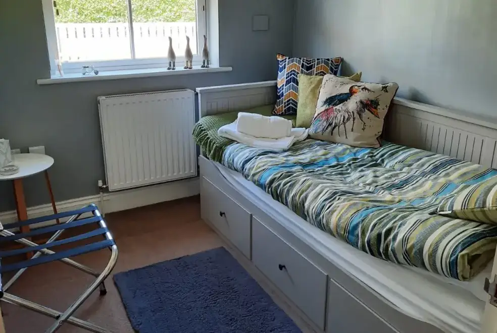 Study at Coddiwomple