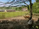 Countryside near Corn House - thumbnail photo