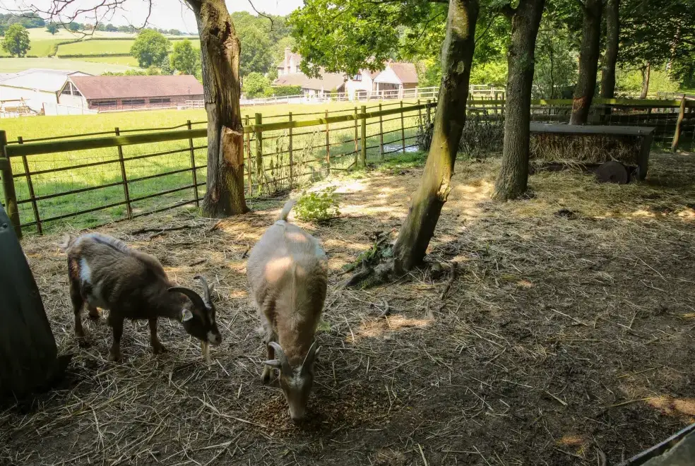 Countryside near Corn House