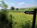 Countryside near Corn House - thumbnail photo
