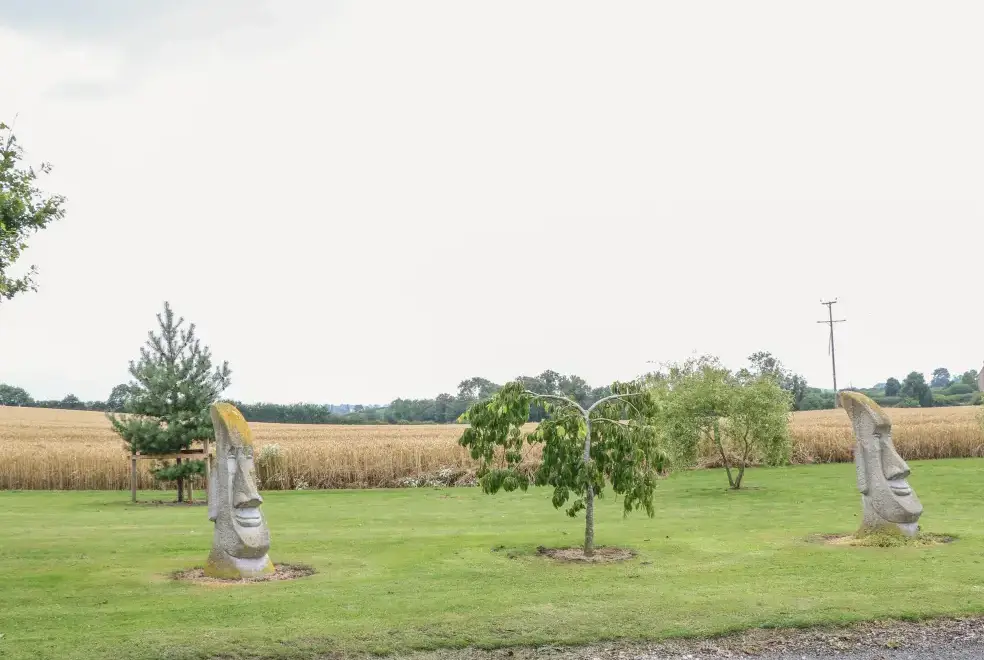 Countryside views at Cornfield