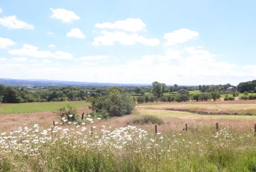 Countryside views at Cottam Cottage Farm