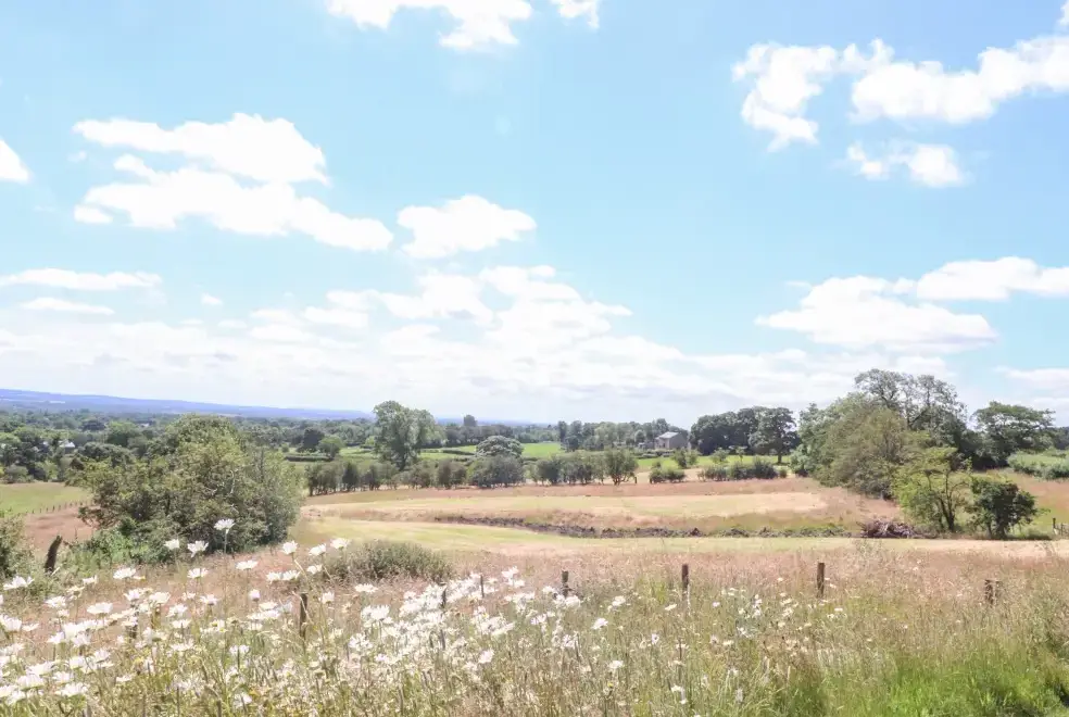 Countryside views at Cottam Cottage Farm