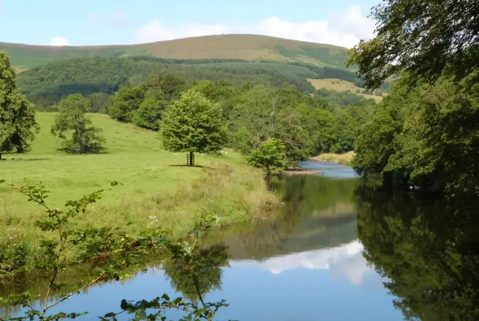 Countryside views at Cottam Cottage Farm
