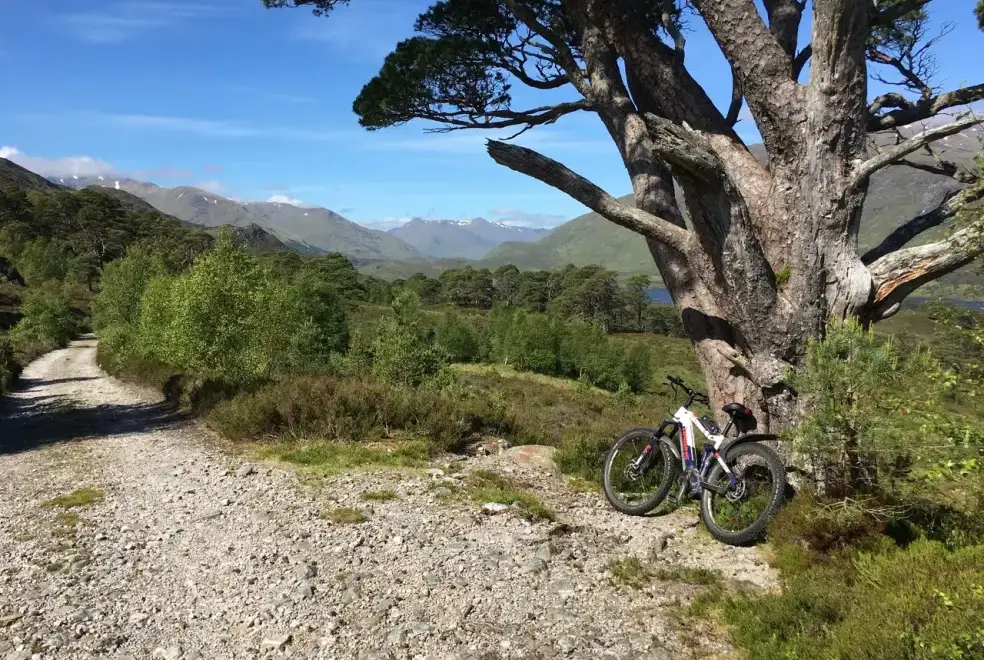 Countryside near Courtyard Cottage