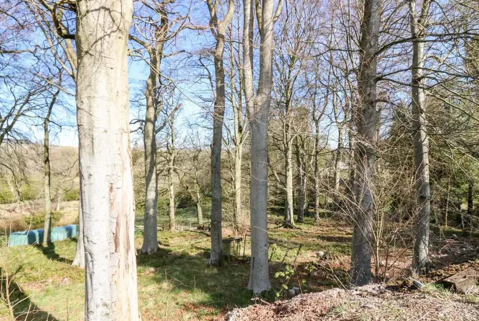 Countryside views at Courtyard Family Cottage, Central Scotland 