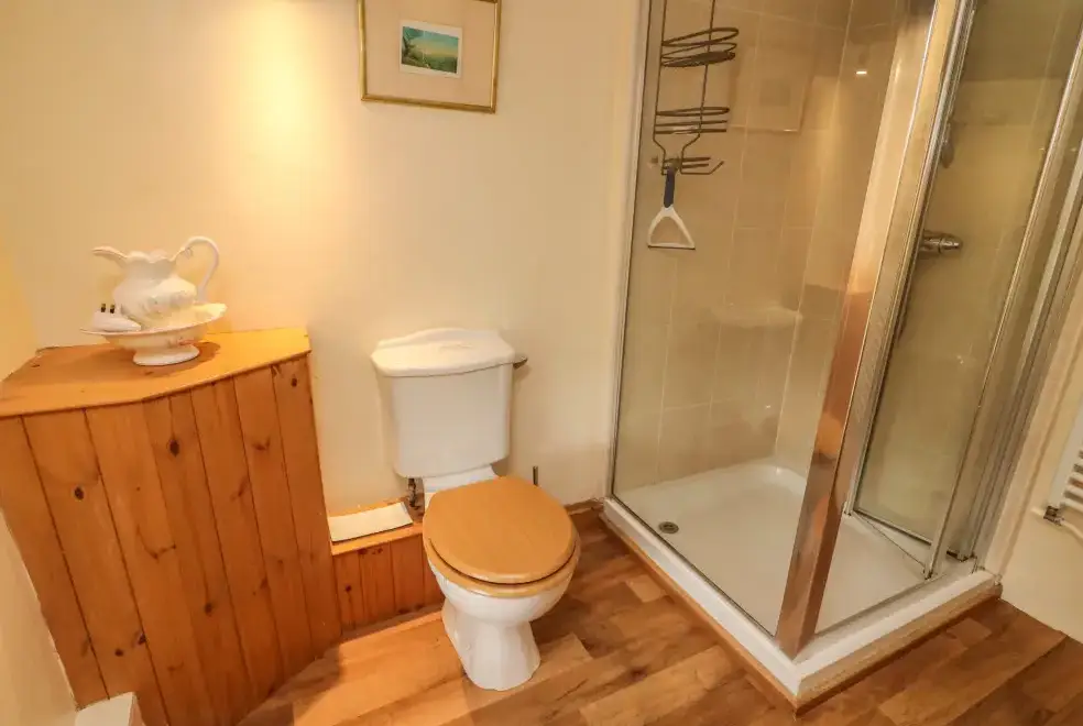 Shower room at Cowstonegill