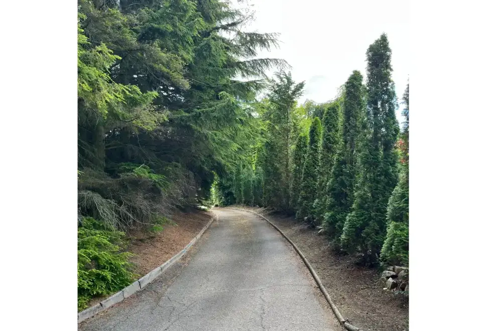 Surrounding area near Craig Cottage