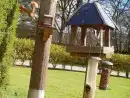 Local wildlife at Craig Cottage - thumbnail photo