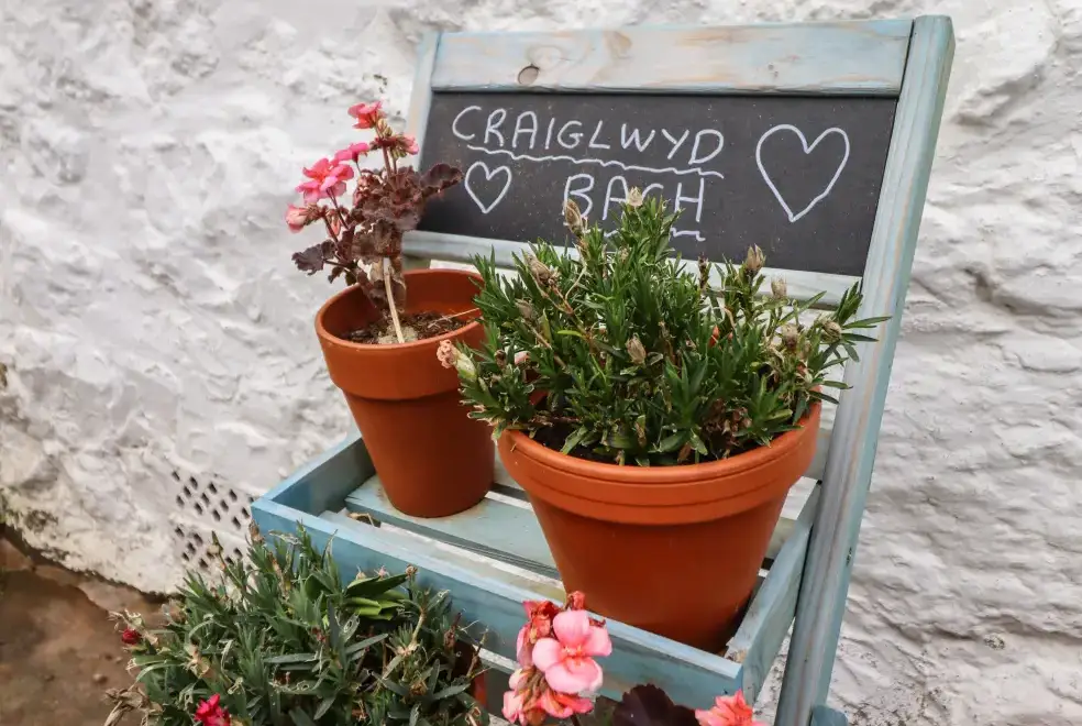 Garden at Craiglwyd Bach