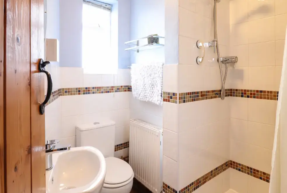 Shower room at Craiglwyd Bach
