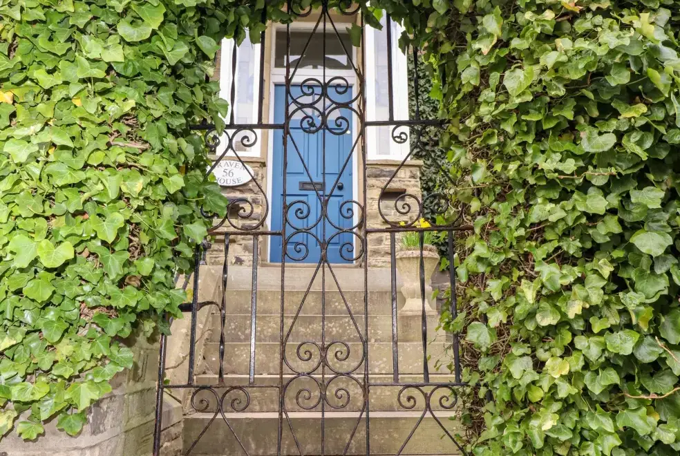 Garden at Craven House