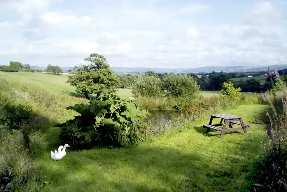 Countryside views at Cwm Derw Cottage