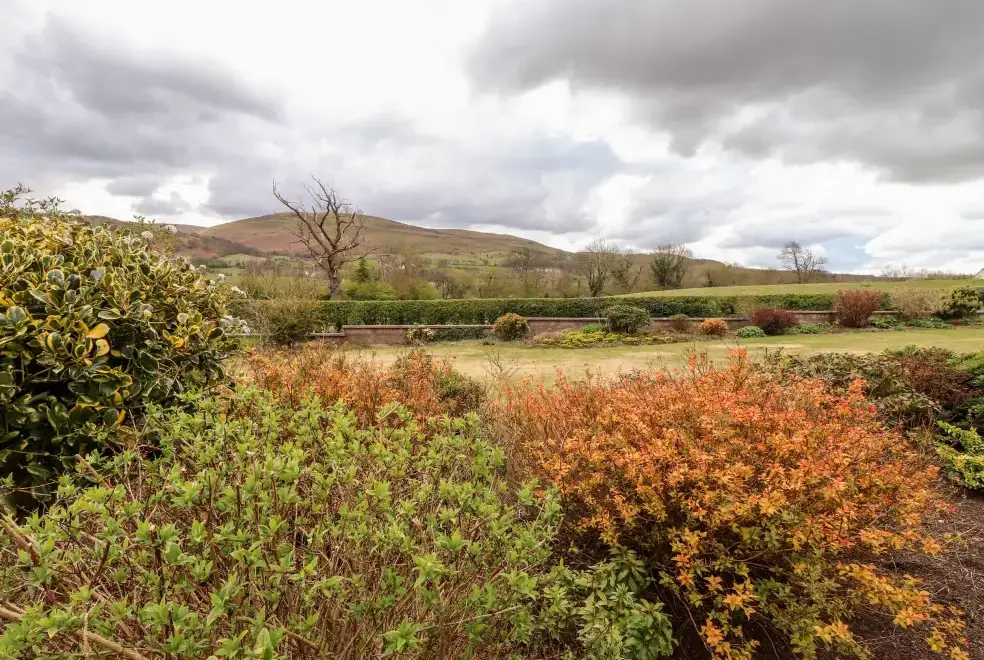 Countryside views at Dale View