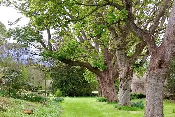 Countryside near Dalvey House