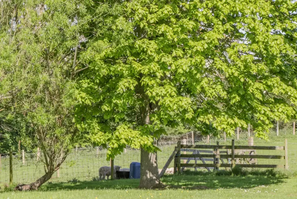 Countryside views at Danby Cottage