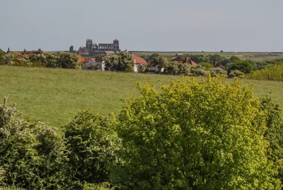 Countryside views at Danby Cottage