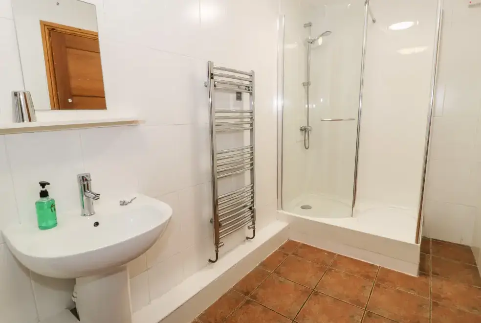 Shower room at Ddol Helyg Barn